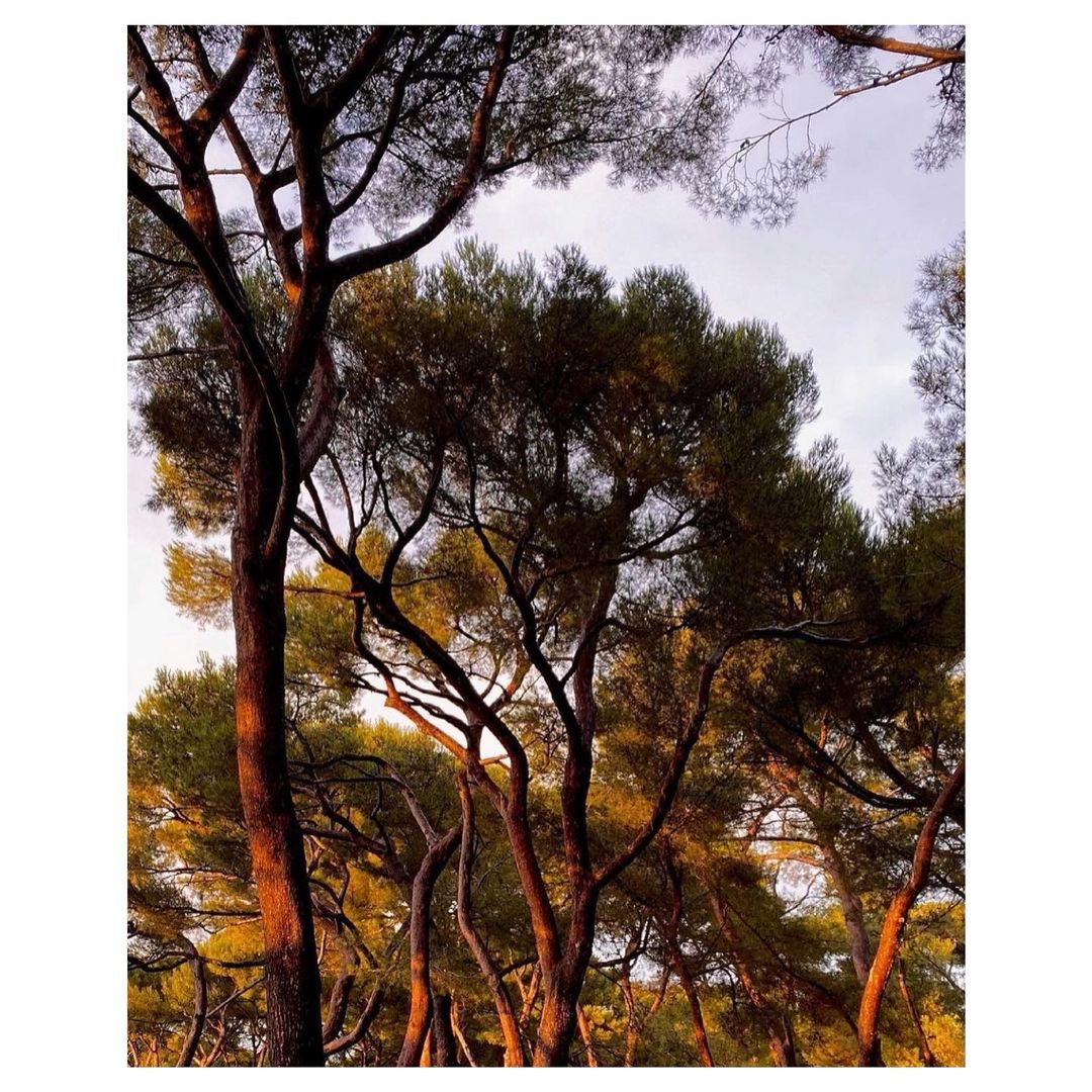 Dior Parfums |  Sep. 21