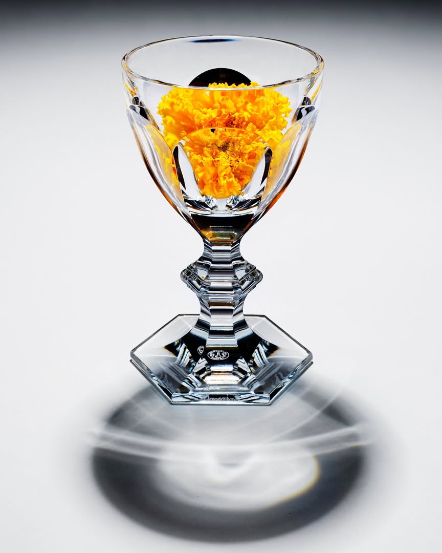 Achille Laplante Le Brun X Baccarat Sep. 25