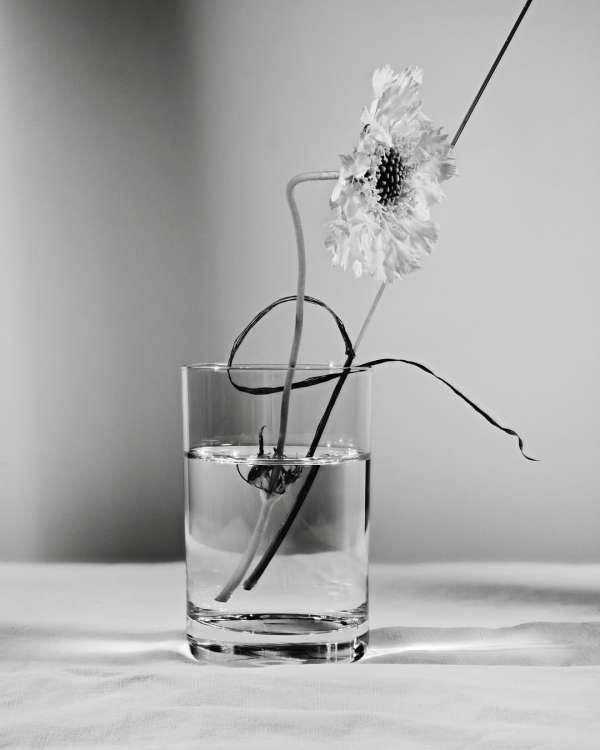 Achille Laplante Le Brun