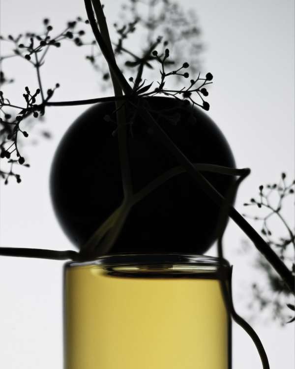 Achille Laplante Le Brun