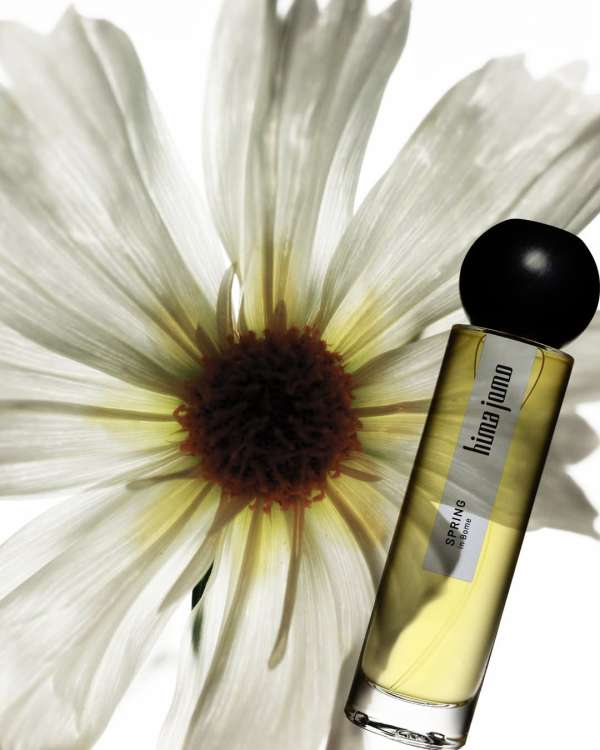 Achille Laplante Le Brun