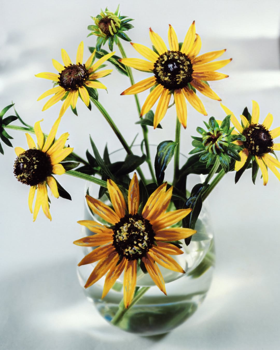 Achille Laplante Le Brun X M Le Monde Oct. 25