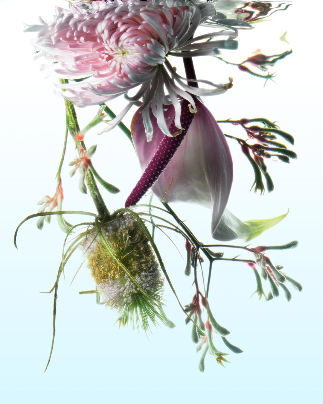 Achille Laplante Le Brun