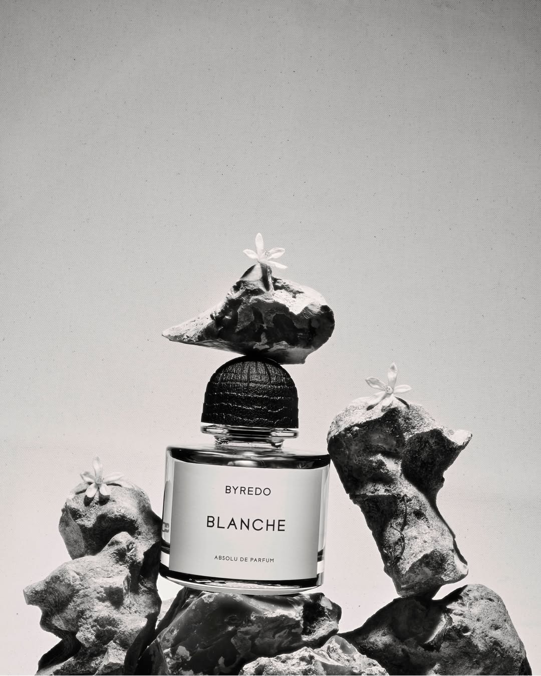 Achille Laplante Le Brun X BYREDO