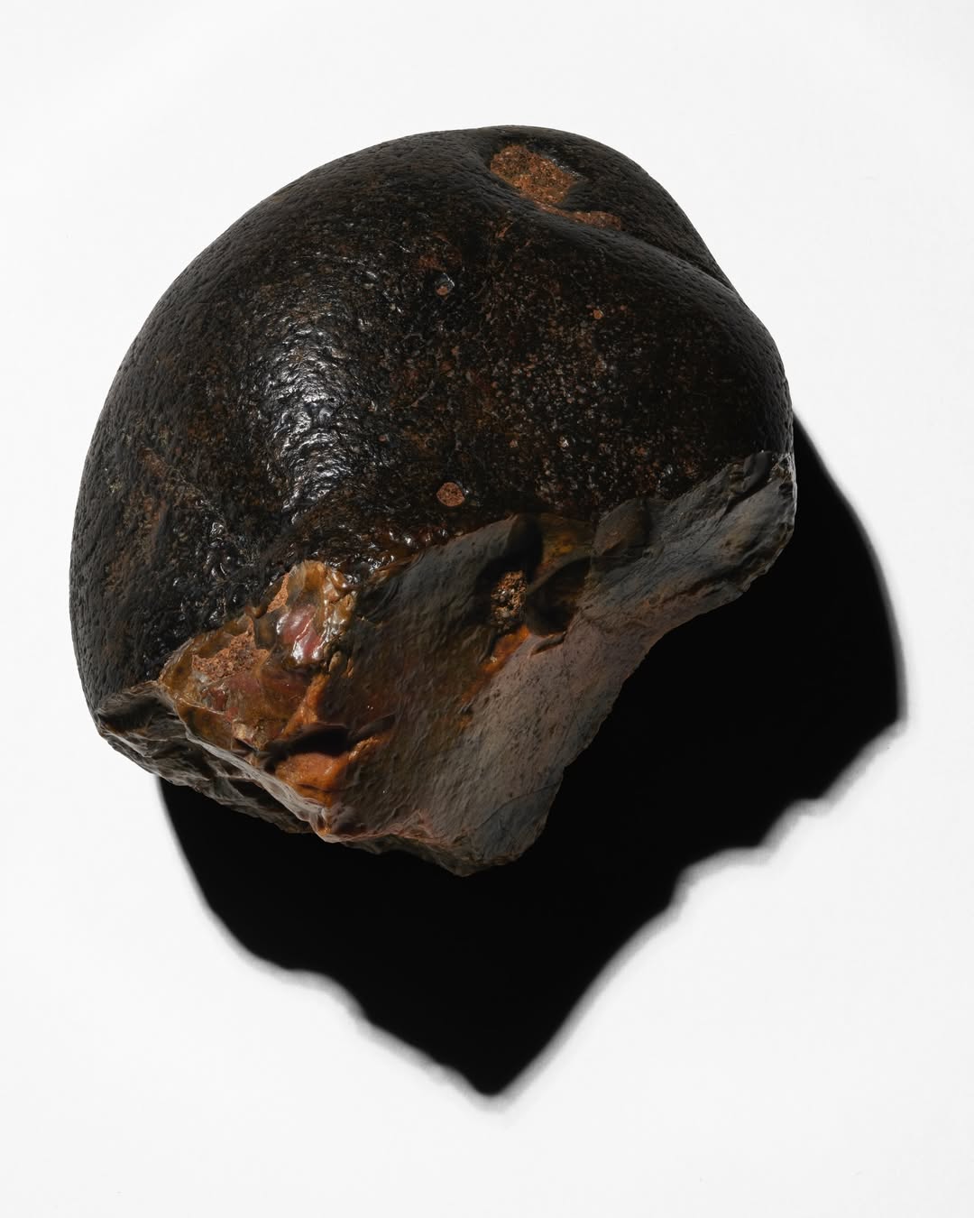 <a href="/achille-laplante-le-brun">Achille Laplante Le Brun</a> <span style="text-transform: none; white-space: nowrap;">Jan. 26</span>