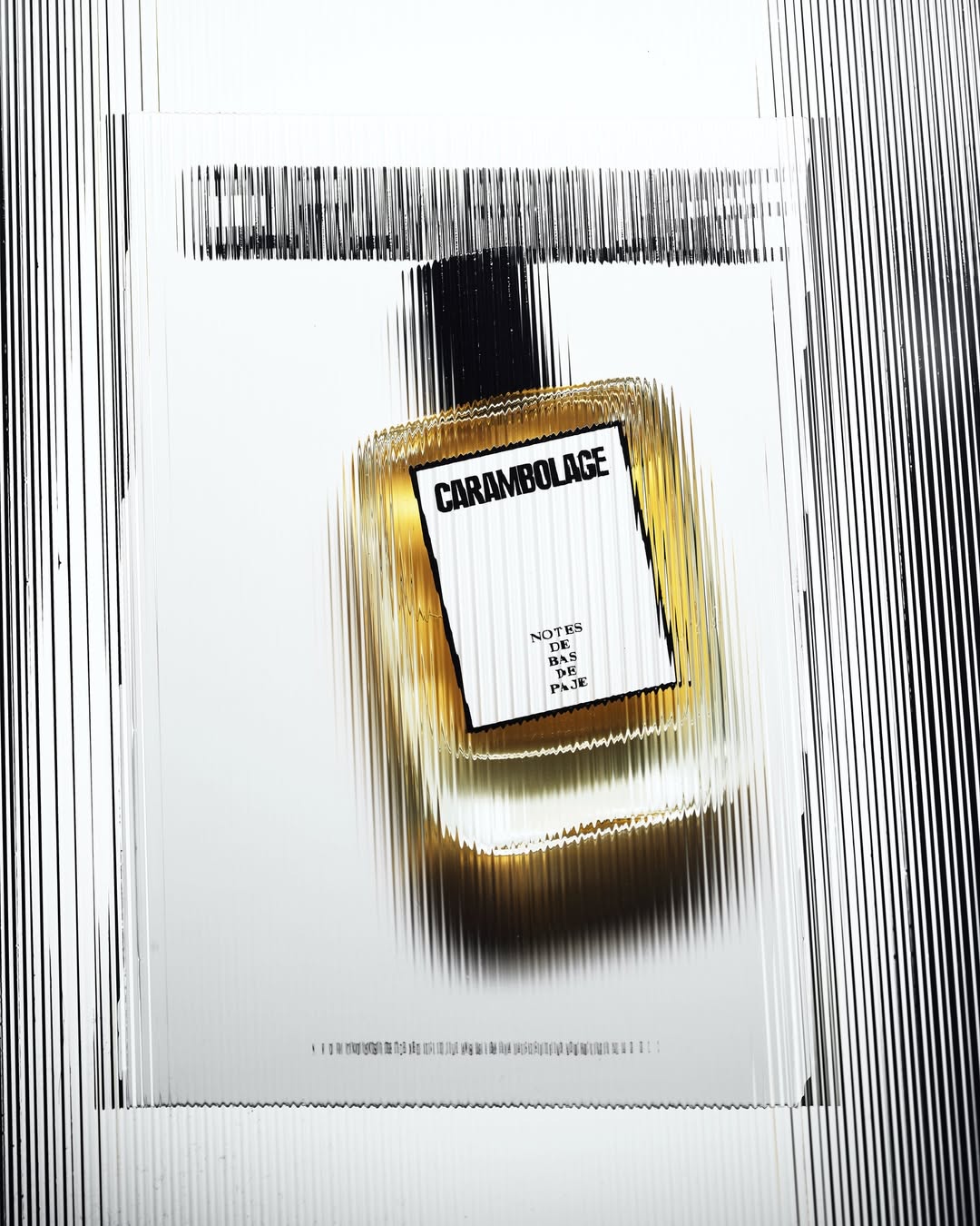 NOTES DE BAS DE PAJE |  Feb. 26