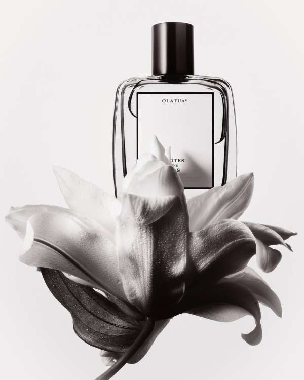 Achille Laplante Le Brun