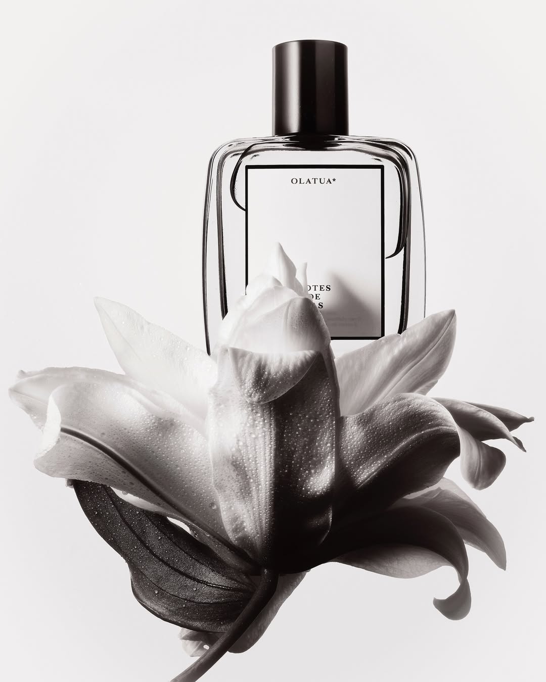 Achille Laplante Le Brun Feb. 26