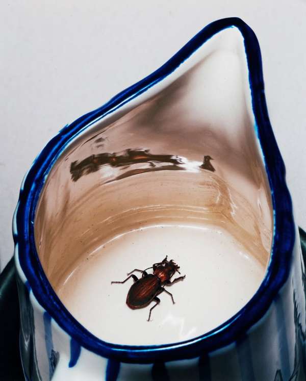 Achille Laplante Le Brun