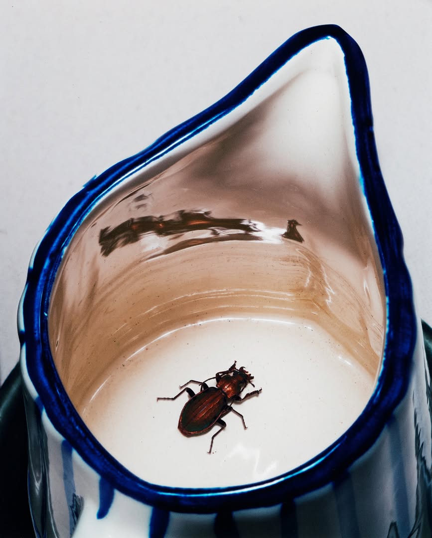 Achille Laplante Le Brun