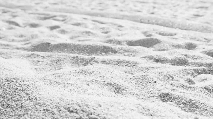 V Magazine |  Jun. 19