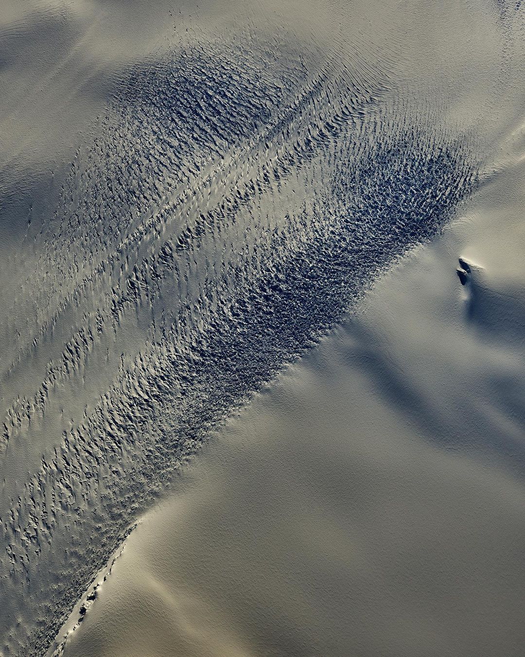 National Geographic |  Jan. 23