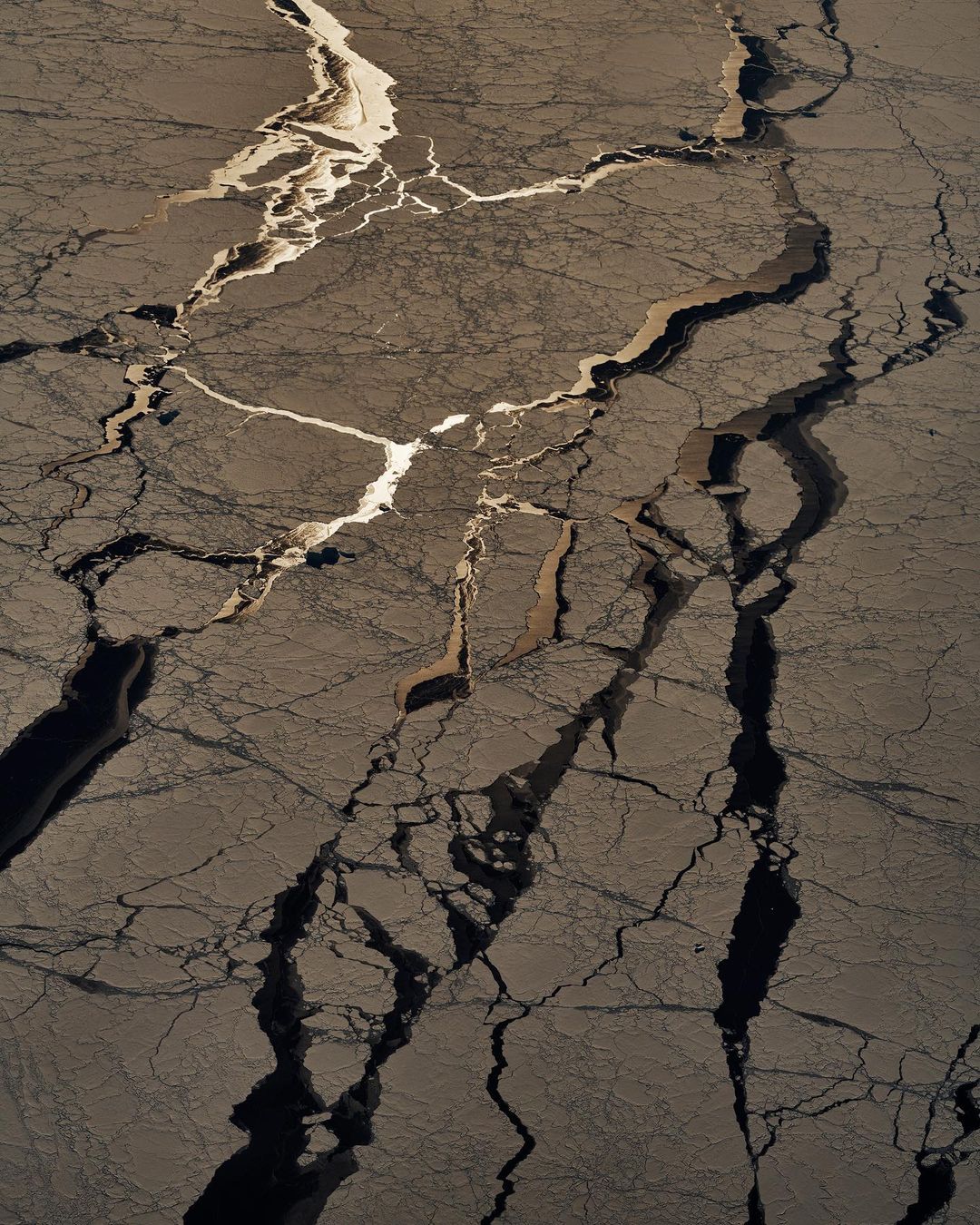 National Geographic |  Jan. 23