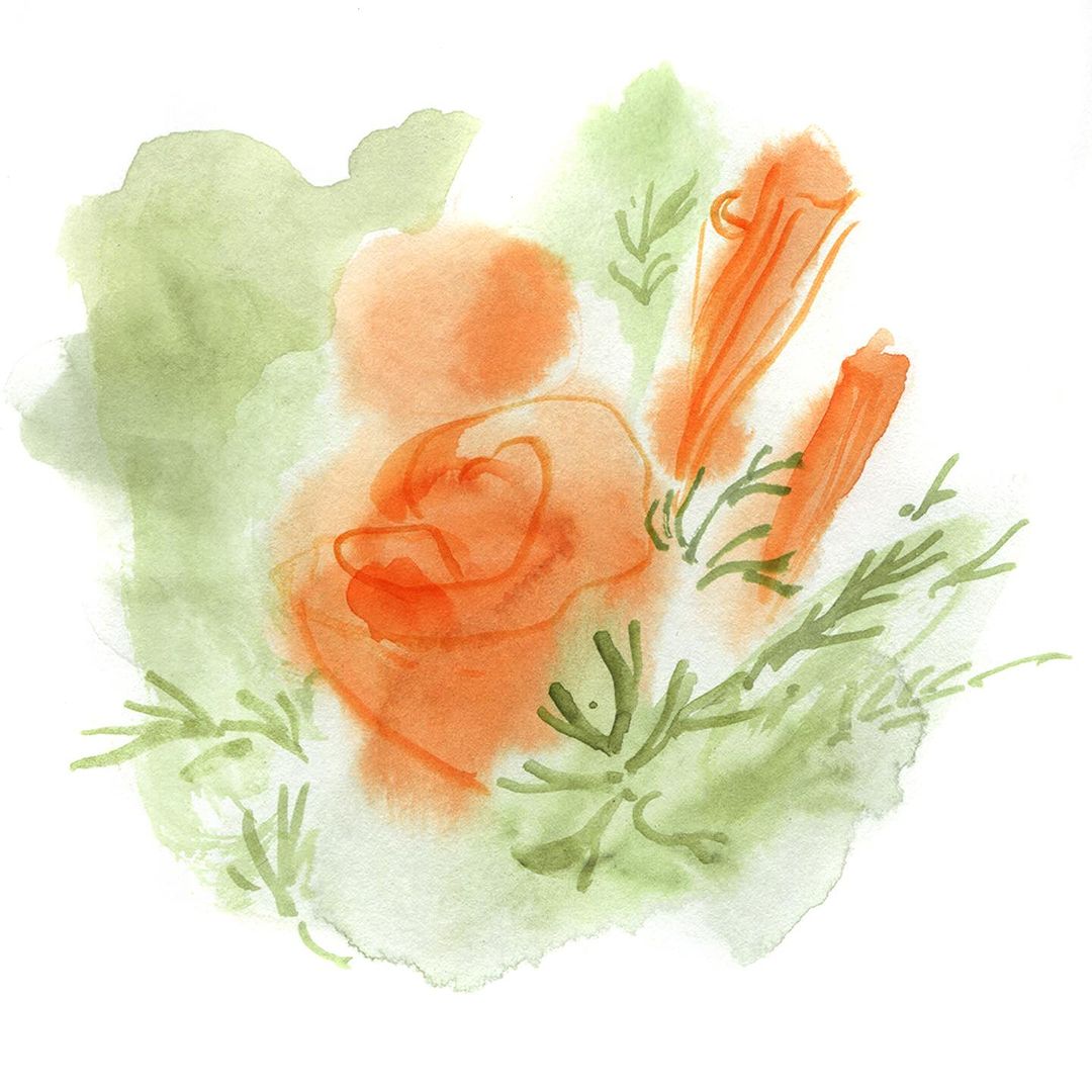 Eames Institute |  Nov. 23