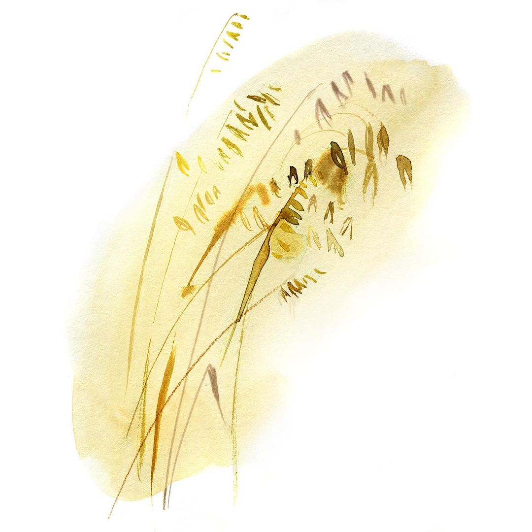 Eames Institute |  Nov. 23