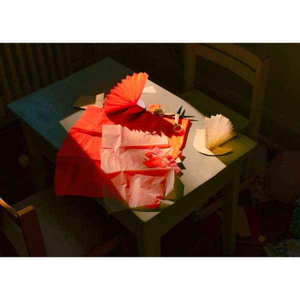 Evelyn Dragan