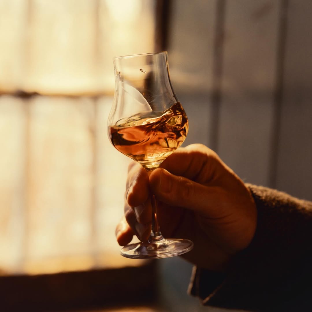 Ramon Haindl X The Singleton Mar. 26