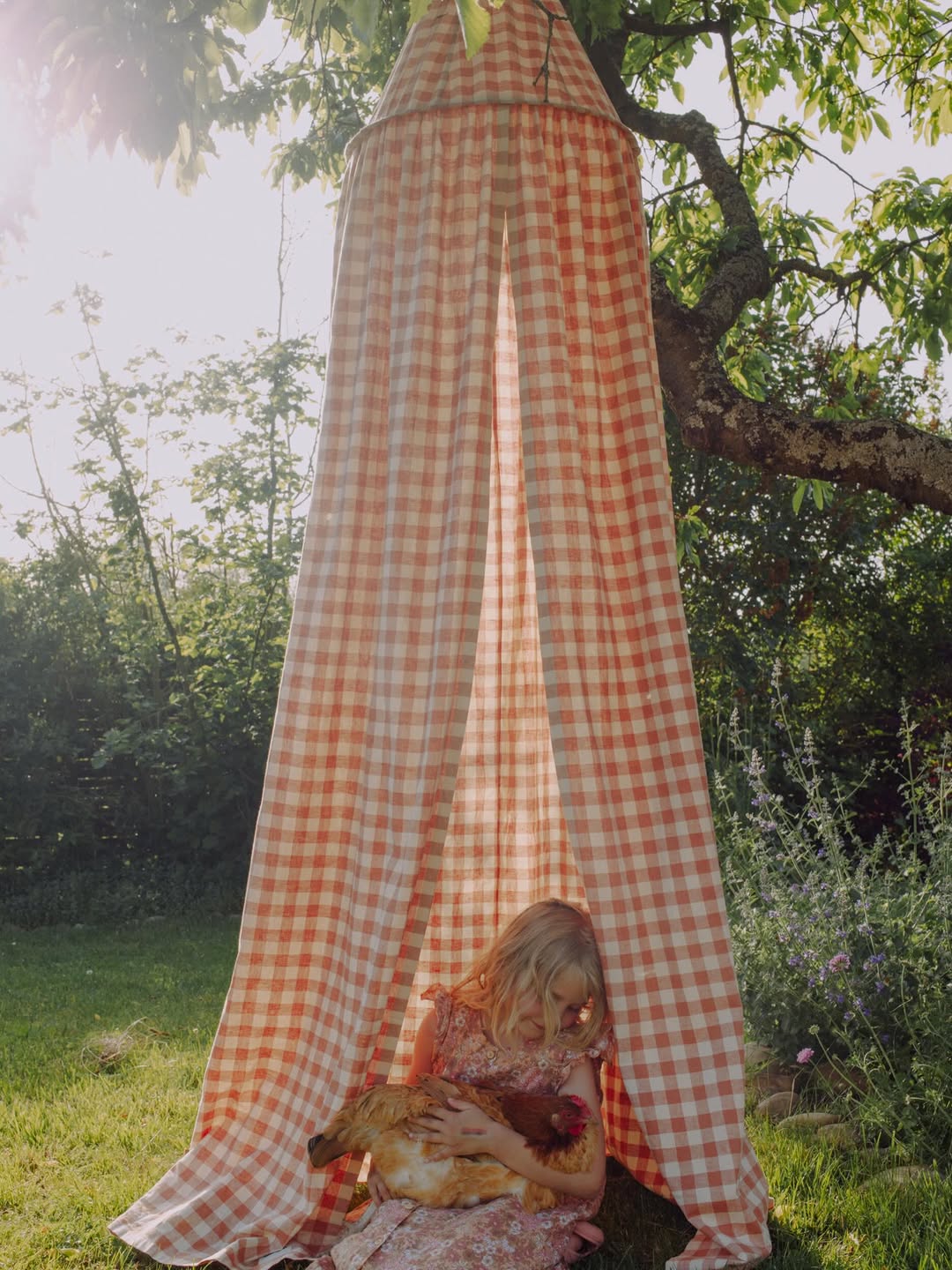 Evelyn Dragan X Minor Things