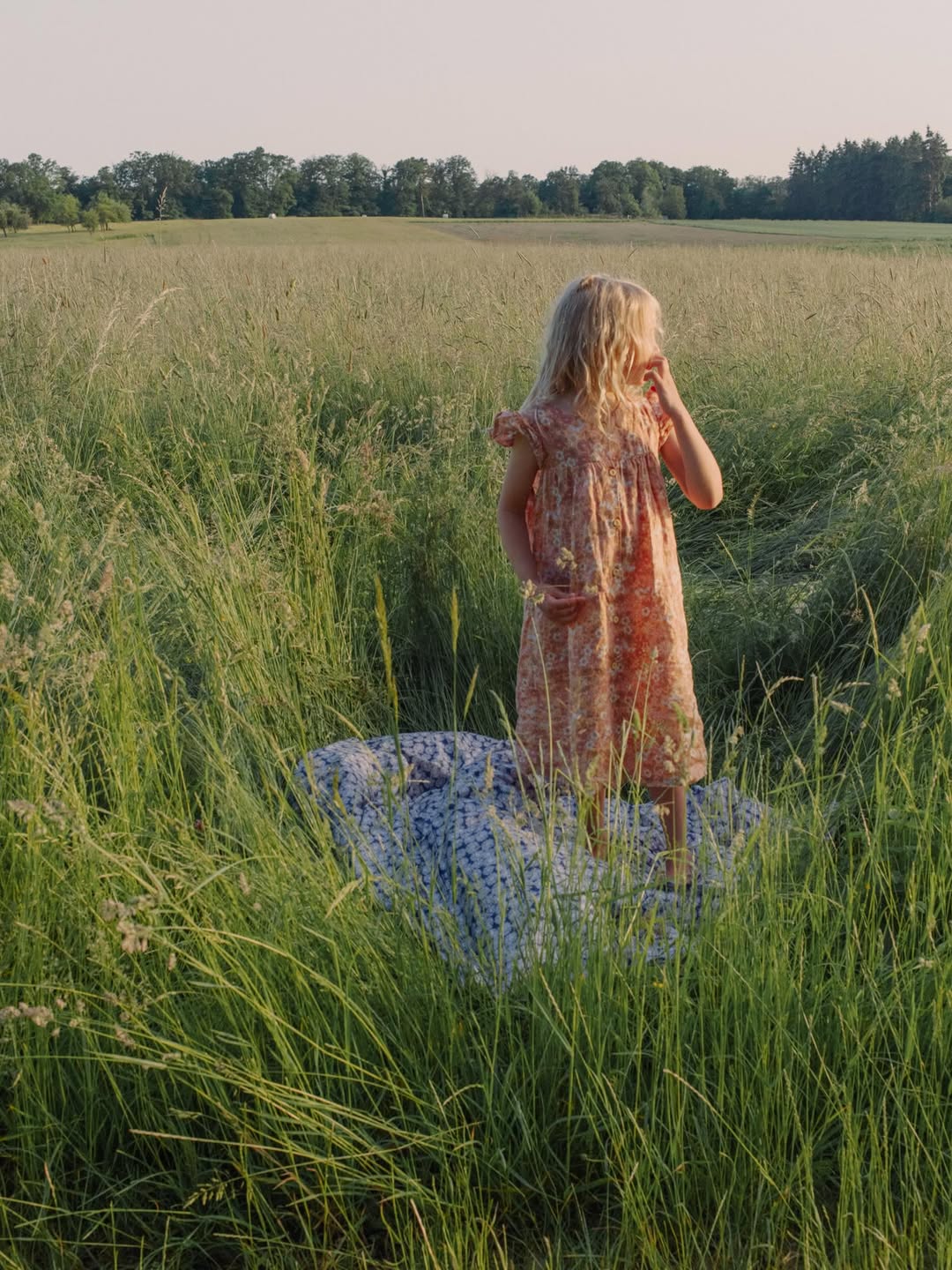 Evelyn Dragan X Minor Things