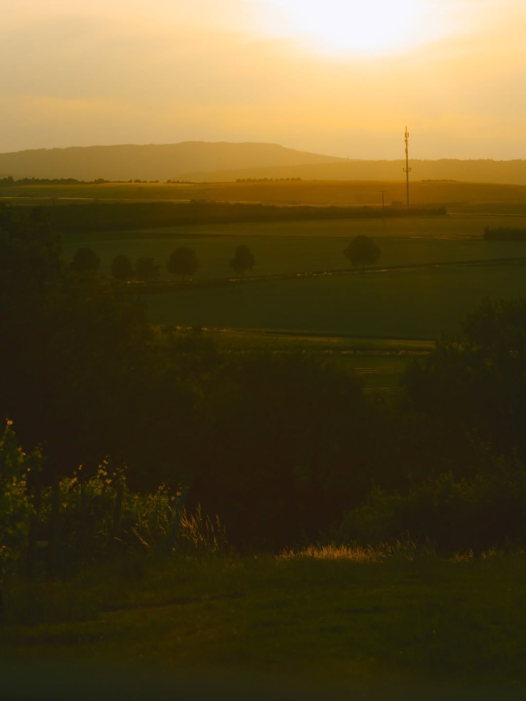 Evelyn Dragan X Weingut Knewitz Jul. 26