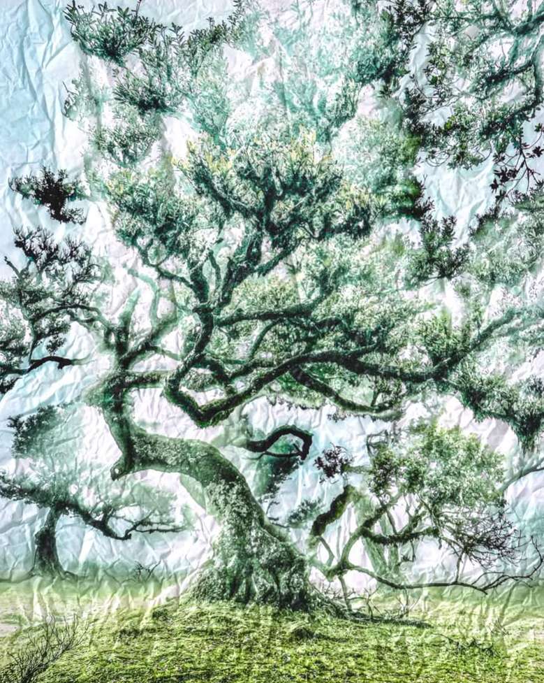 Sophie Le Gendre X a ppr oc he