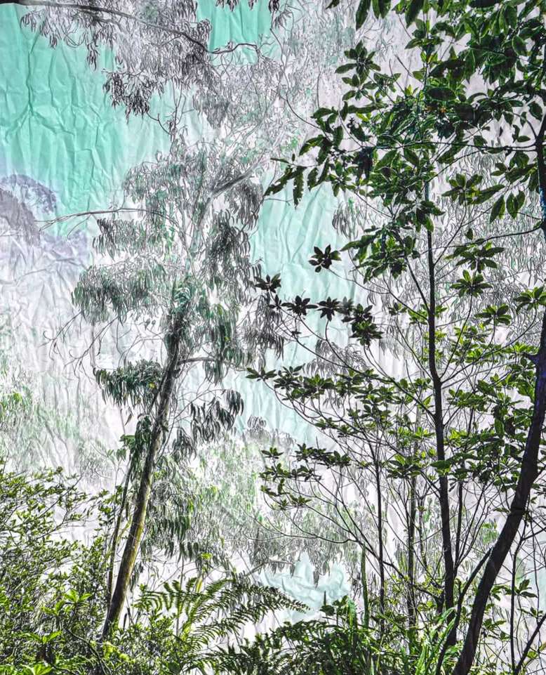 Sophie Le Gendre X a ppr oc he Oct. 25