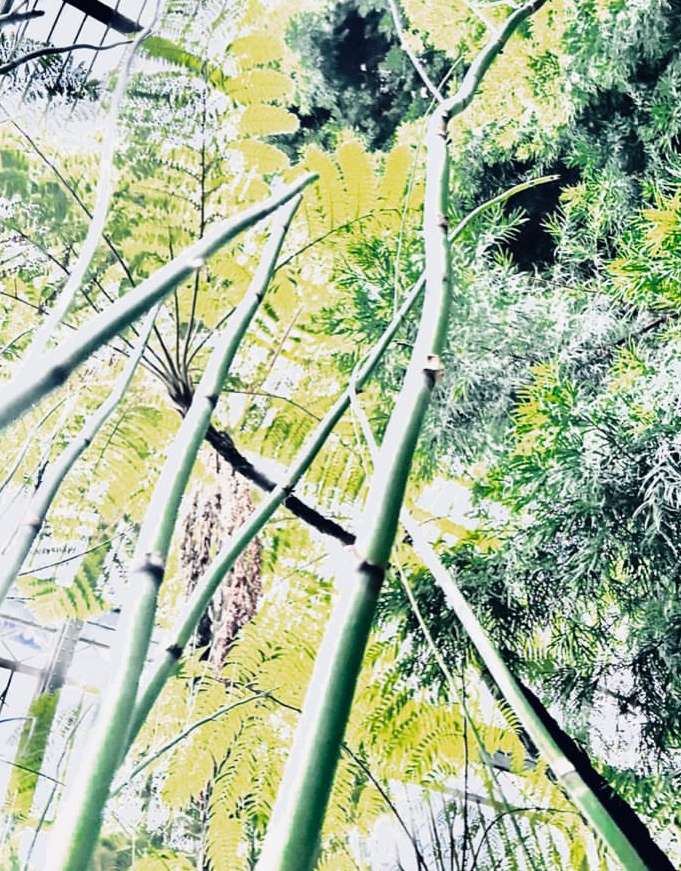 Sophie Le Gendre X Art Rotterdam