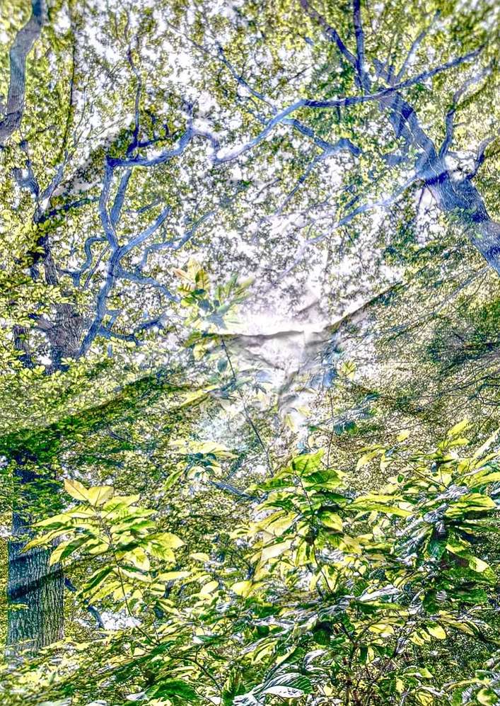 Art Rotterdam |  Mar. 26