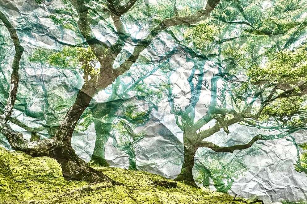 Sophie Le Gendre X Art Rotterdam