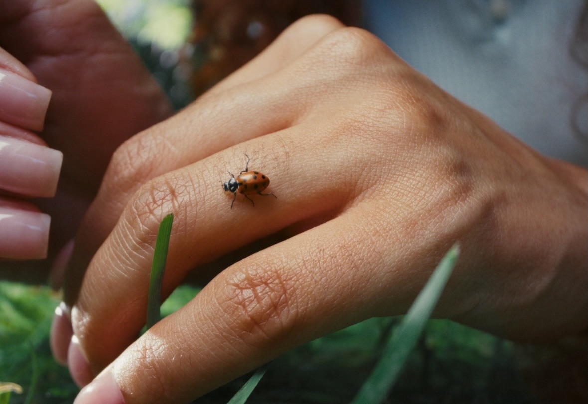 slider image