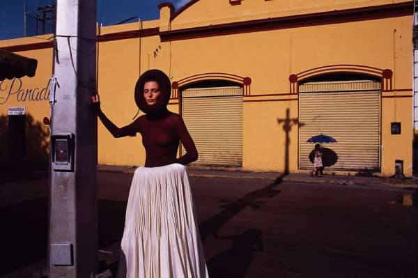 Photographer @vincentvandewijngaard for @ha...
