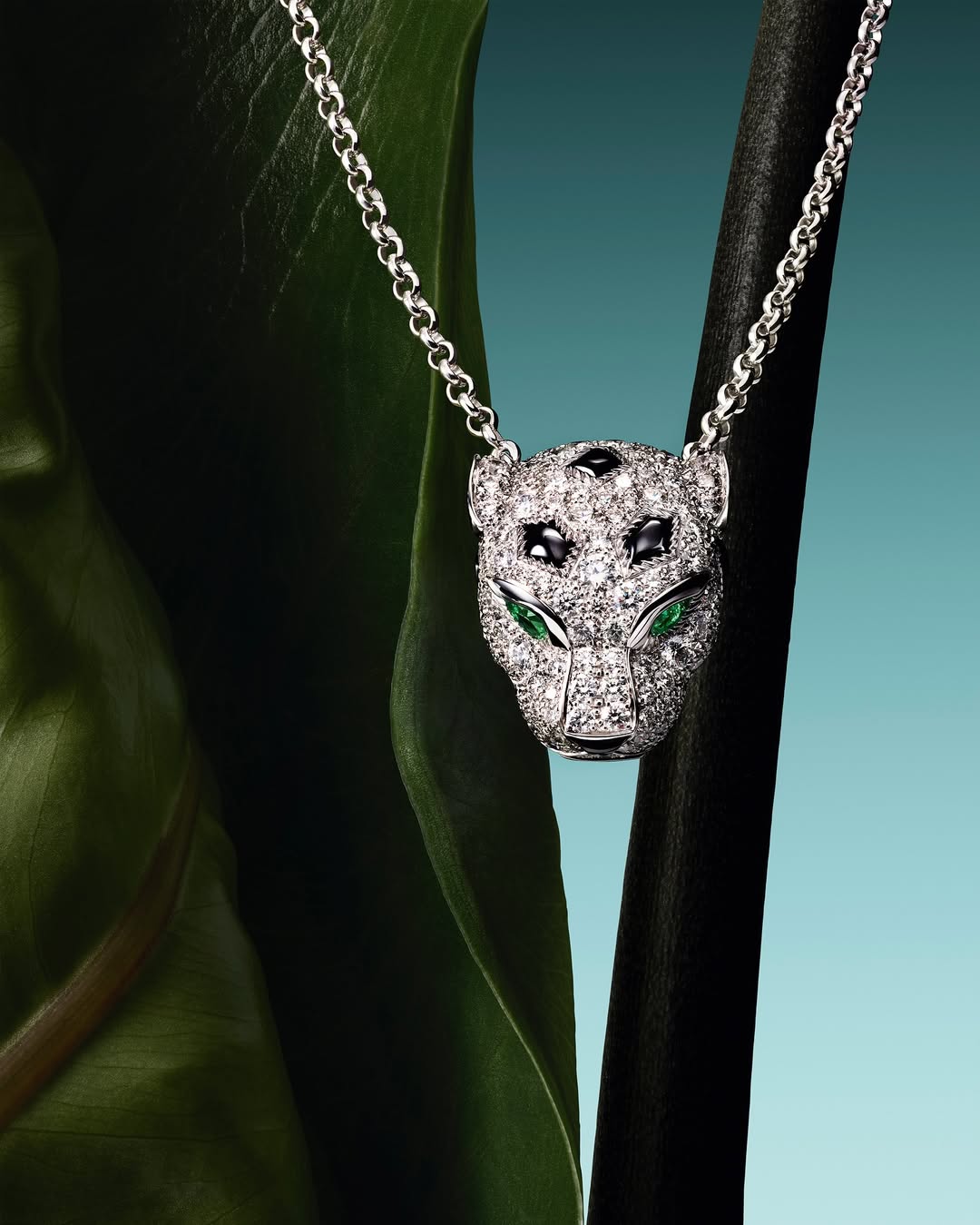 Photographer @inesdieleman @37.2_nicolashuetgreub for @cartier @publicisluxe @helenekerbiquetalazard @marioneline