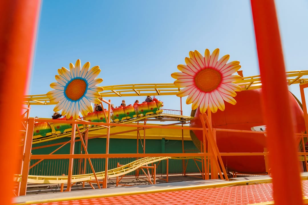 slider image