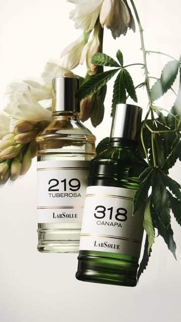 Spring Studios renews its creative partners...