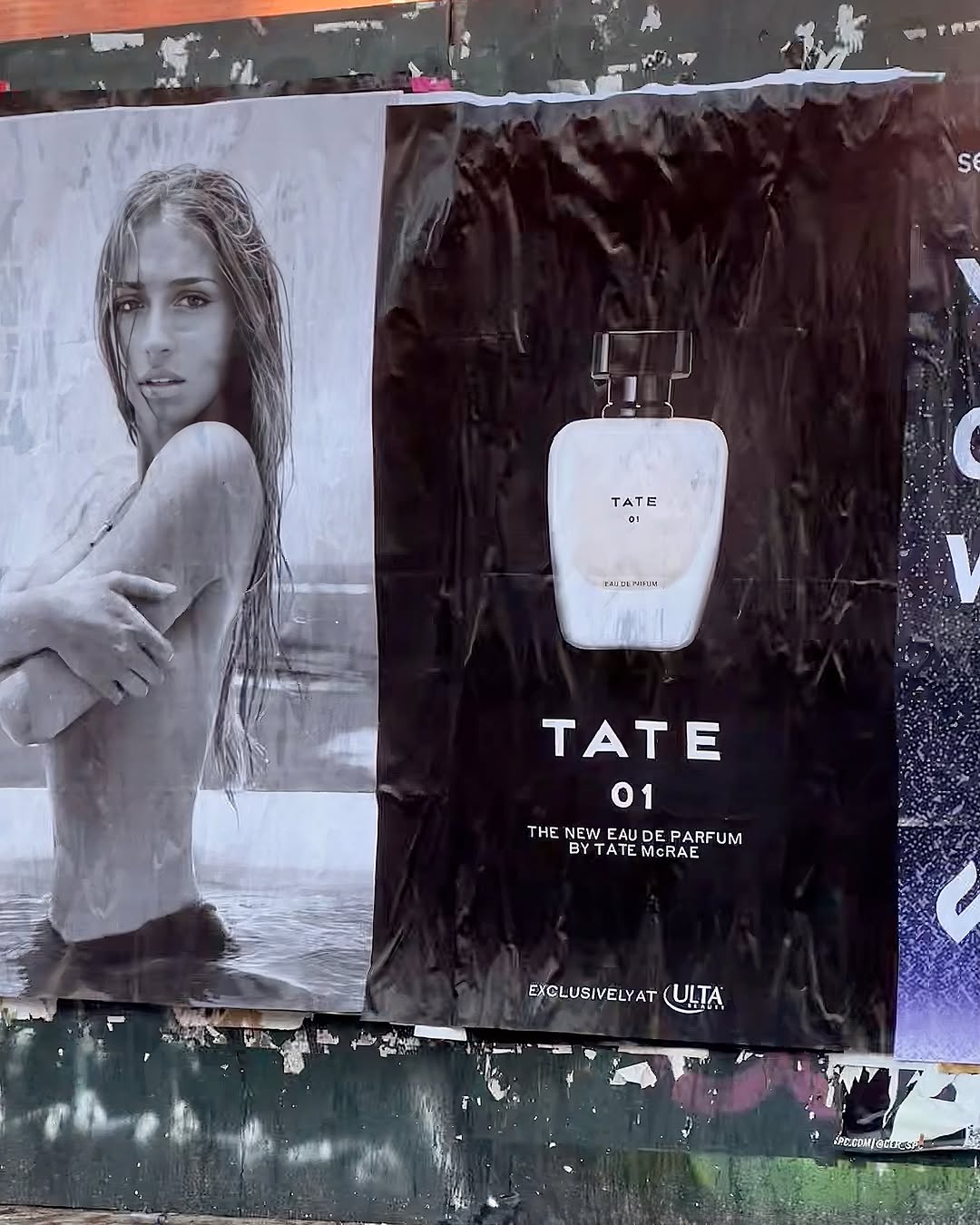 TATE 01. The debut fragrance from @tatemcrae.