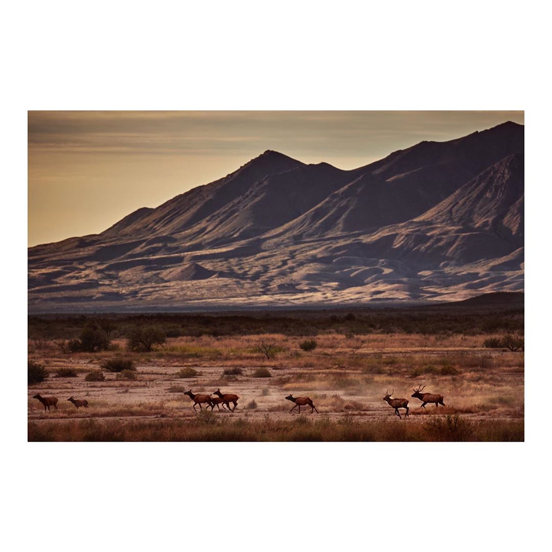 Conde Nast Traveller |  May. 20