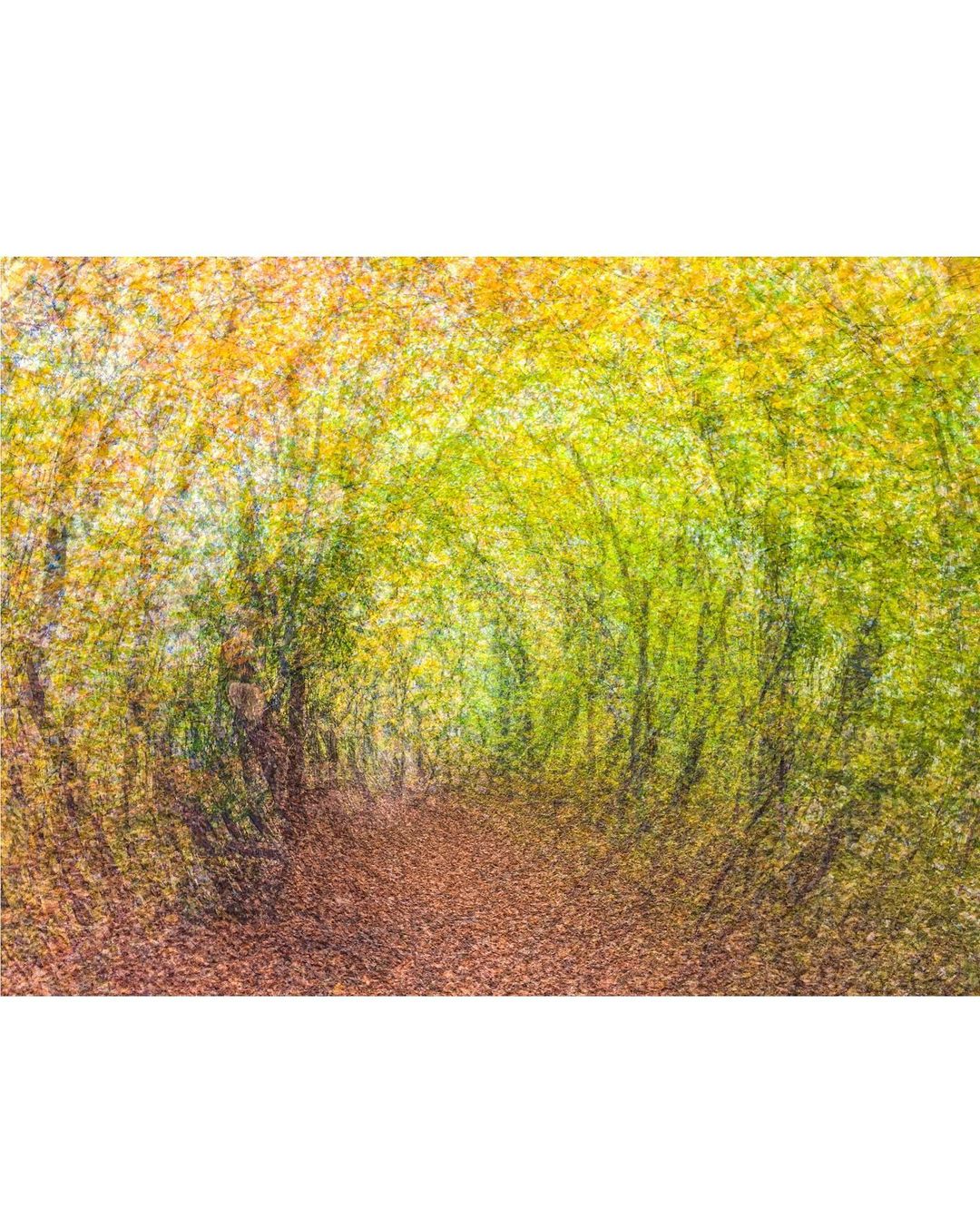 HOLDEN LUNTZ GALLERY |  Jan. 23