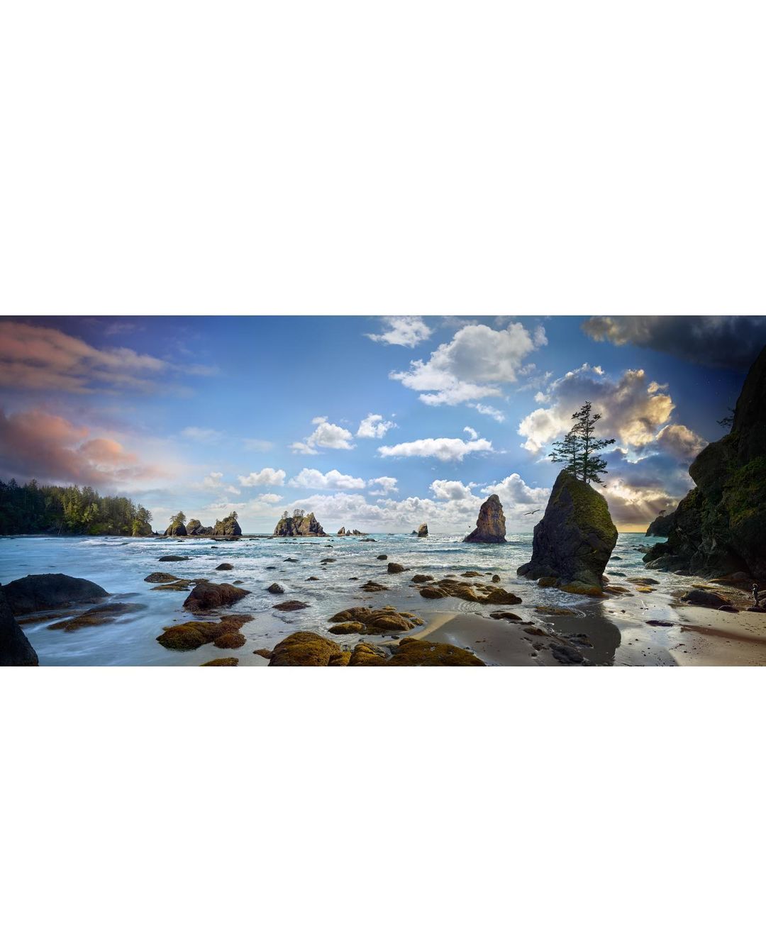 HOLDEN LUNTZ GALLERY |  Jan. 23