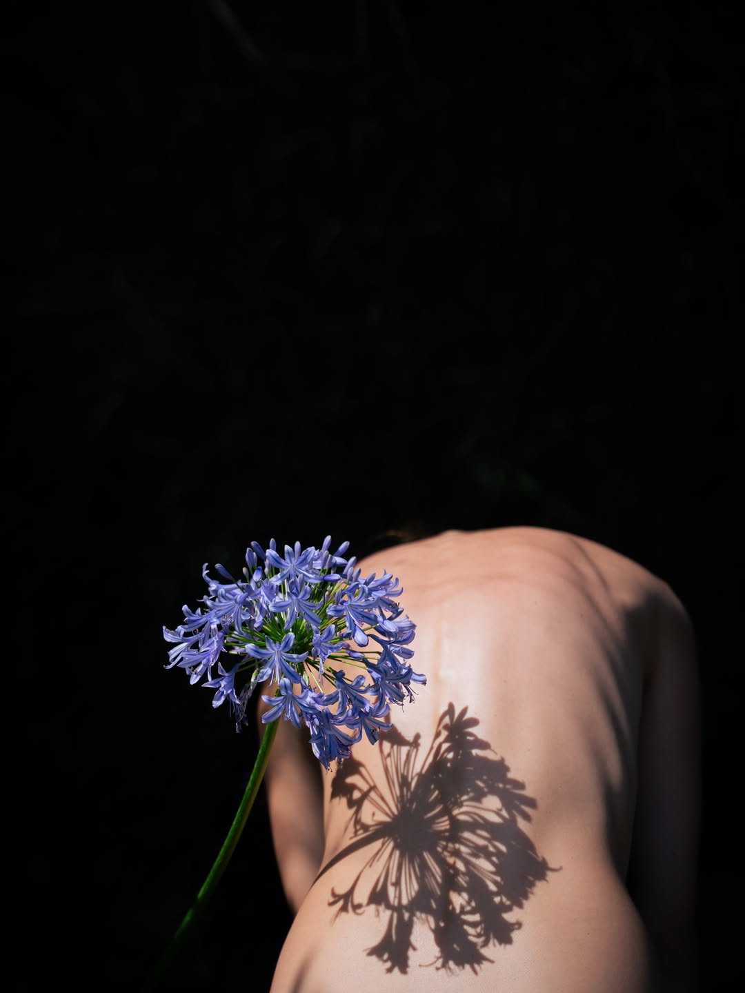 STEPHANIE MOORE
