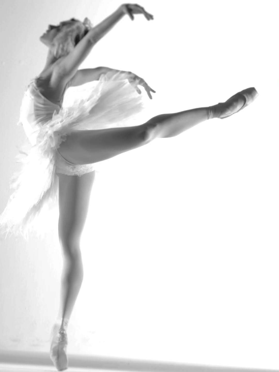 Steve Vaccariello Oct. 25