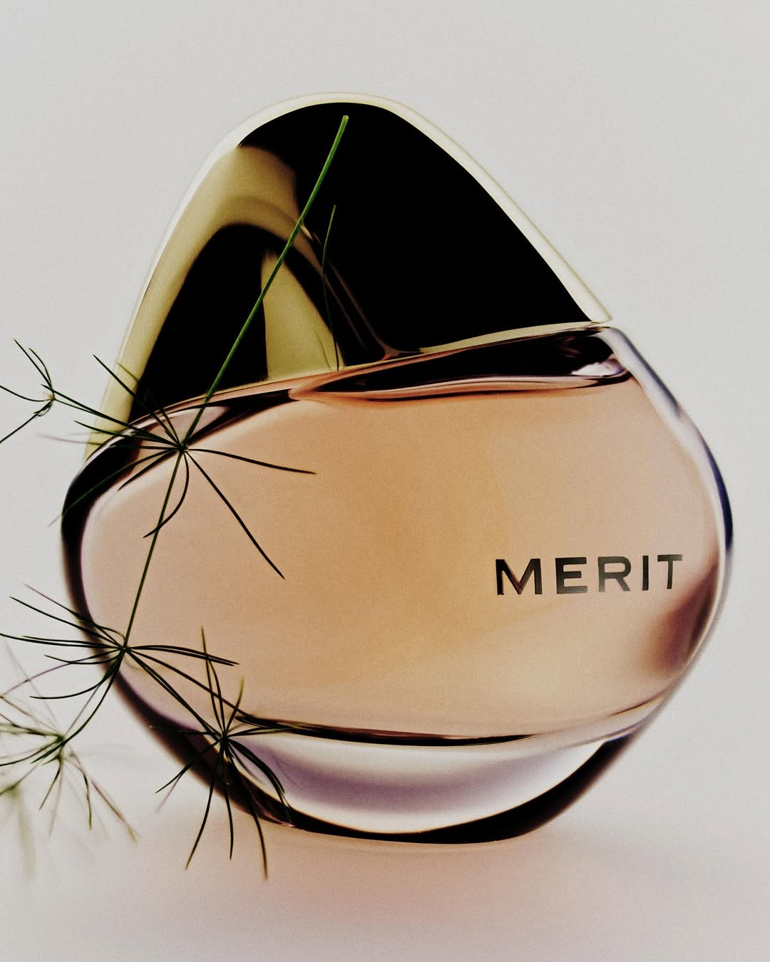 Steven John Miner X MERIT Nov. 25