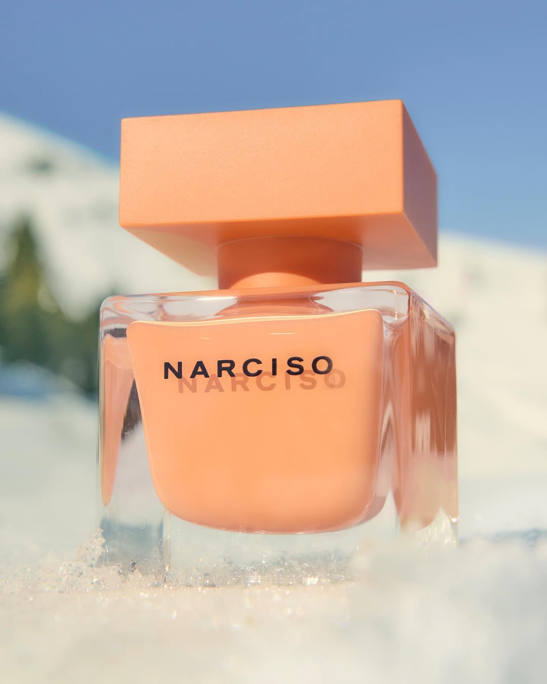 Stills & Strokes X Narciso Rodriguez Feb. 26