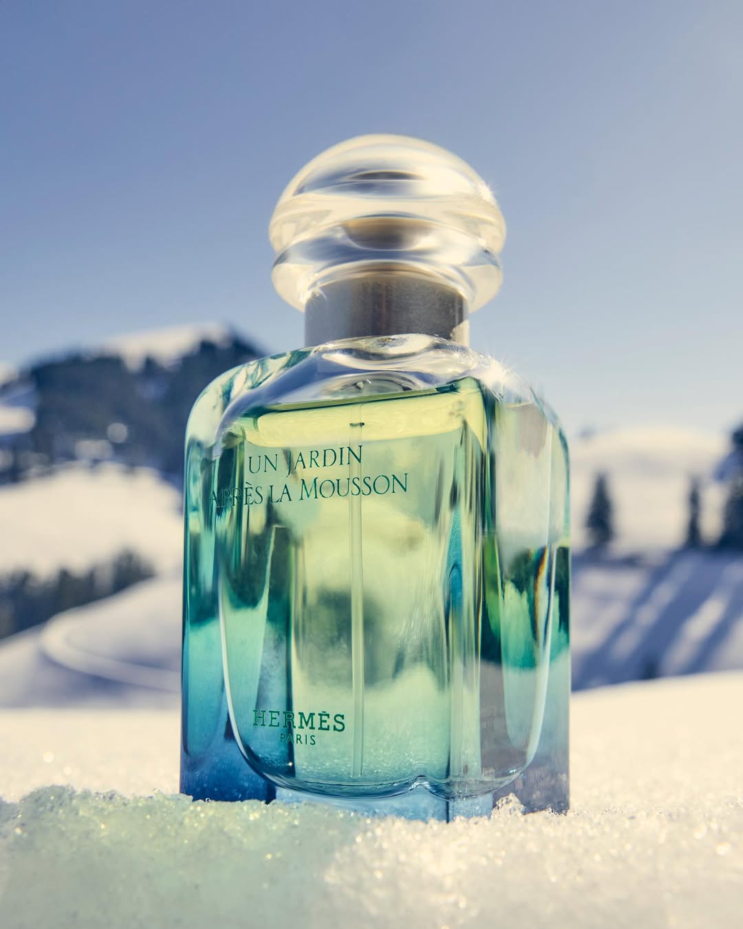 Stills & Strokes X Hermès