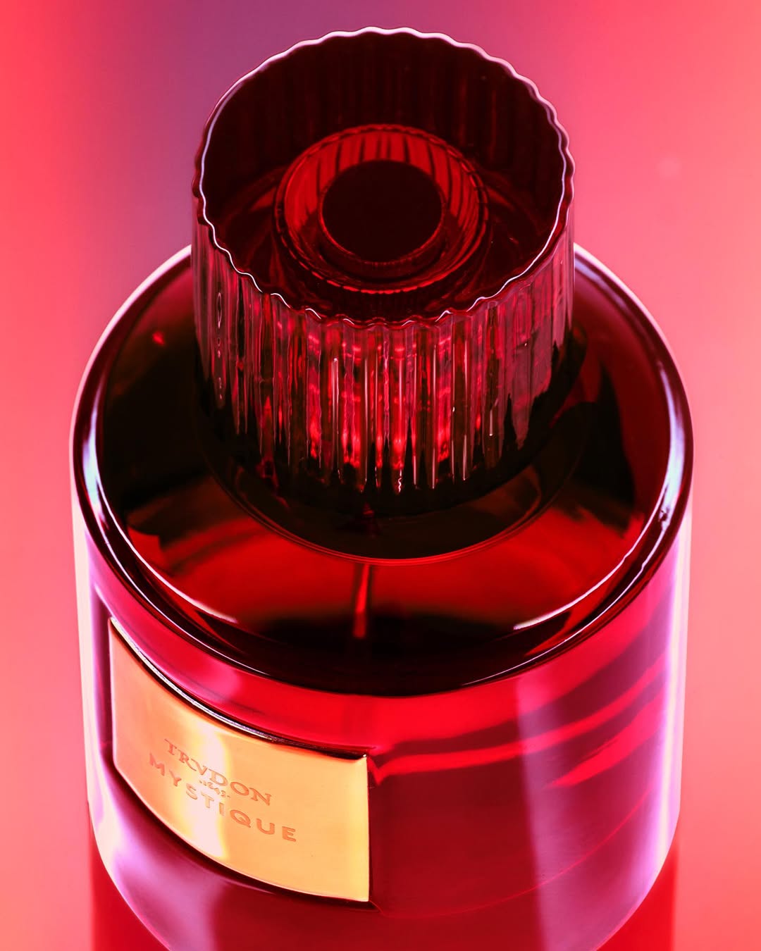 Stills & Strokes X Esquire Germany