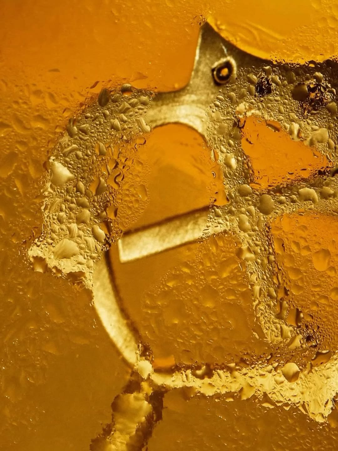 Chivas Regal shot by Sun Lee in Studio 5A

Brand managers - @essivaihtamo and @ceriwynjones
Photographer - @sunleestudio
Drinks stylist - @loicparisot
Digi - @oclyde
Asst - @nilay.iso
Agency - @crxss_agency

#shootatstreet