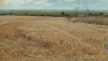 Olympia Vitalis, Painted Smiles