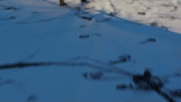 Welcoming Senior Colourist Vlad Barin (@vla...