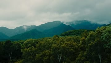 Welcoming Senior Colourist Vlad Barin (@vla...