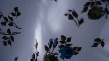 Recent Highlights from Jules