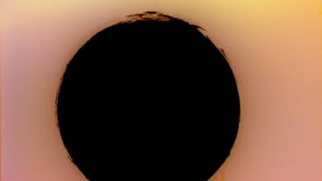 Recent Highlights from Jules